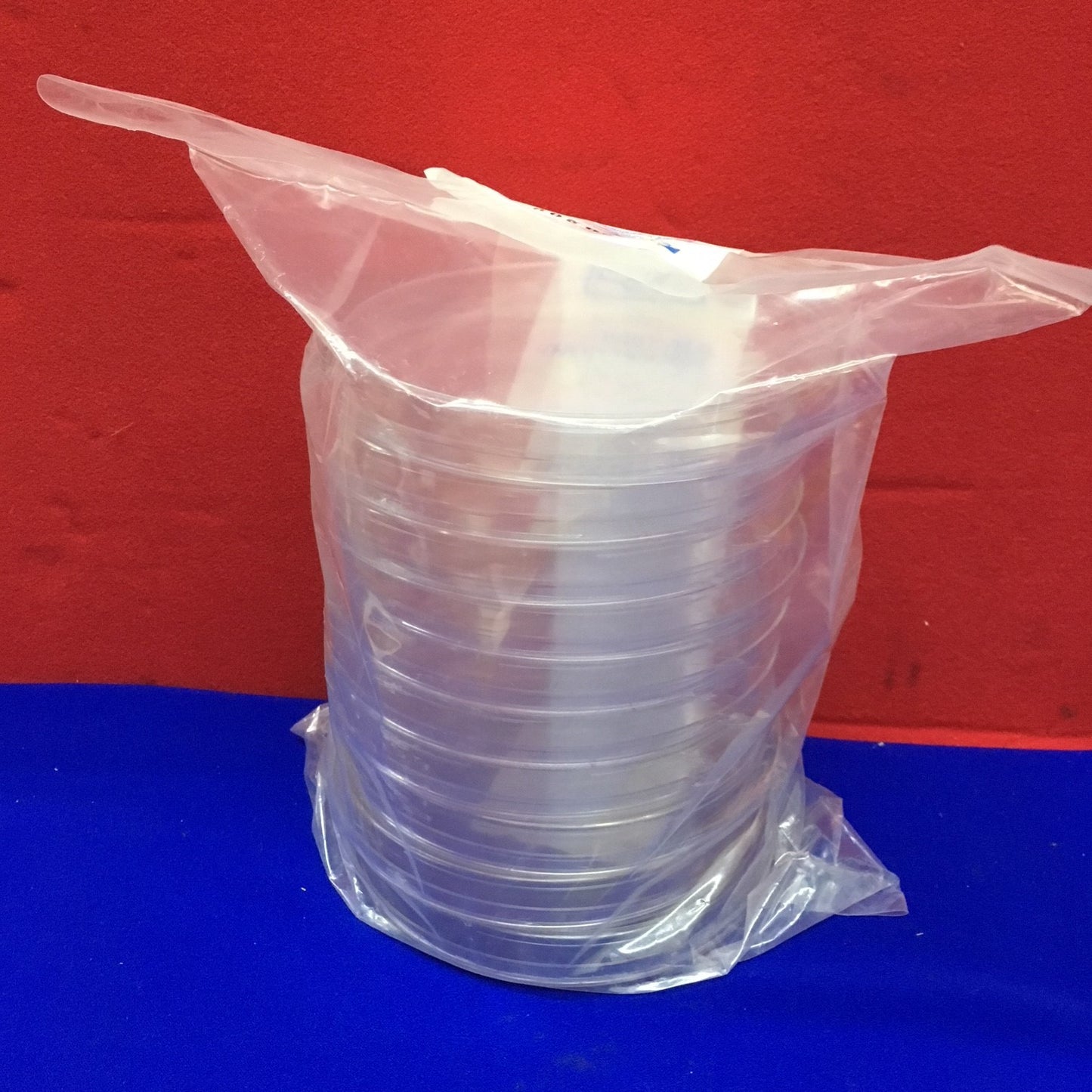 FALCON BECTON DICKINSON 1058 BOÎTE DE PÉTRI AVEC COUVERCLE EN POLYSTYRÈNE JETABLE