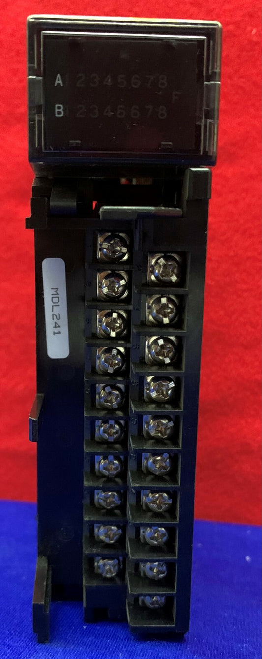 GE Fanuc IC693MDL241C 入力モジュール 24VAC/VDC 16pt カバー欠落
