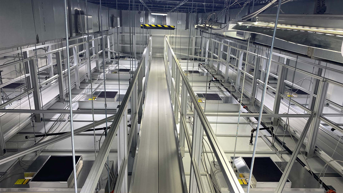 2 foot wide service catwalk over modular cleanroom