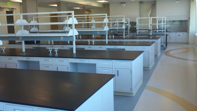 Cleanroom & Laboratory Furniture