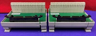 1 lote de 2 - Módulo de interfaz de terminal Allen Bradley 1492-IFM40F 0-132 V CA/CC 