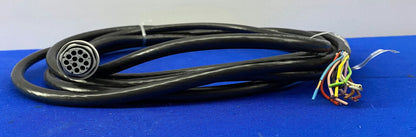 SICK 2022545 E172203 AWM STYLE 2464 80 DEGREE C 300V VW 1 CABLE 15 FT