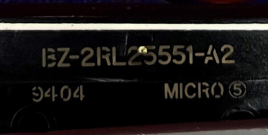 Microinterruptor BZ-2RL25551-A2 Interruptor de presión con carcasa