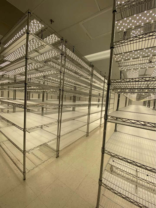 LED Lighted Grow Racks 2’x4’x7’tall ULine NSF 8 shelves 7 lighted sold in set of 2