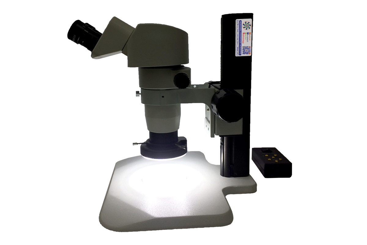 mmbt-unit-20-ergonomic-track-stand-microscope-head-down