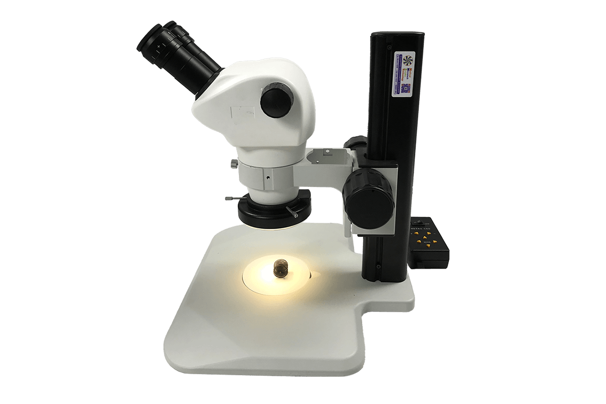 mmbt-unit-5-track-stand-microscope-10x-eye-standard-no-accessories