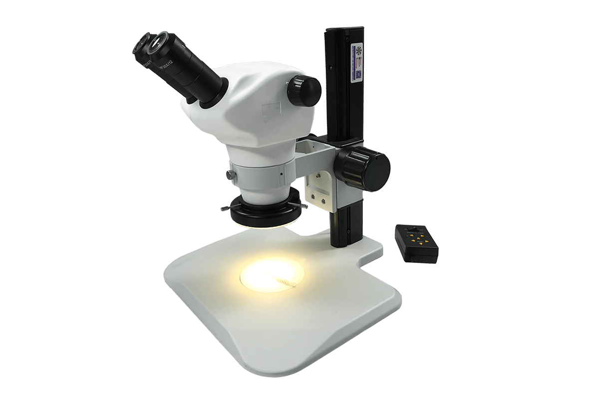 mmbt-unit-5-track-stand-microscope-20x-eye-tilt-stand