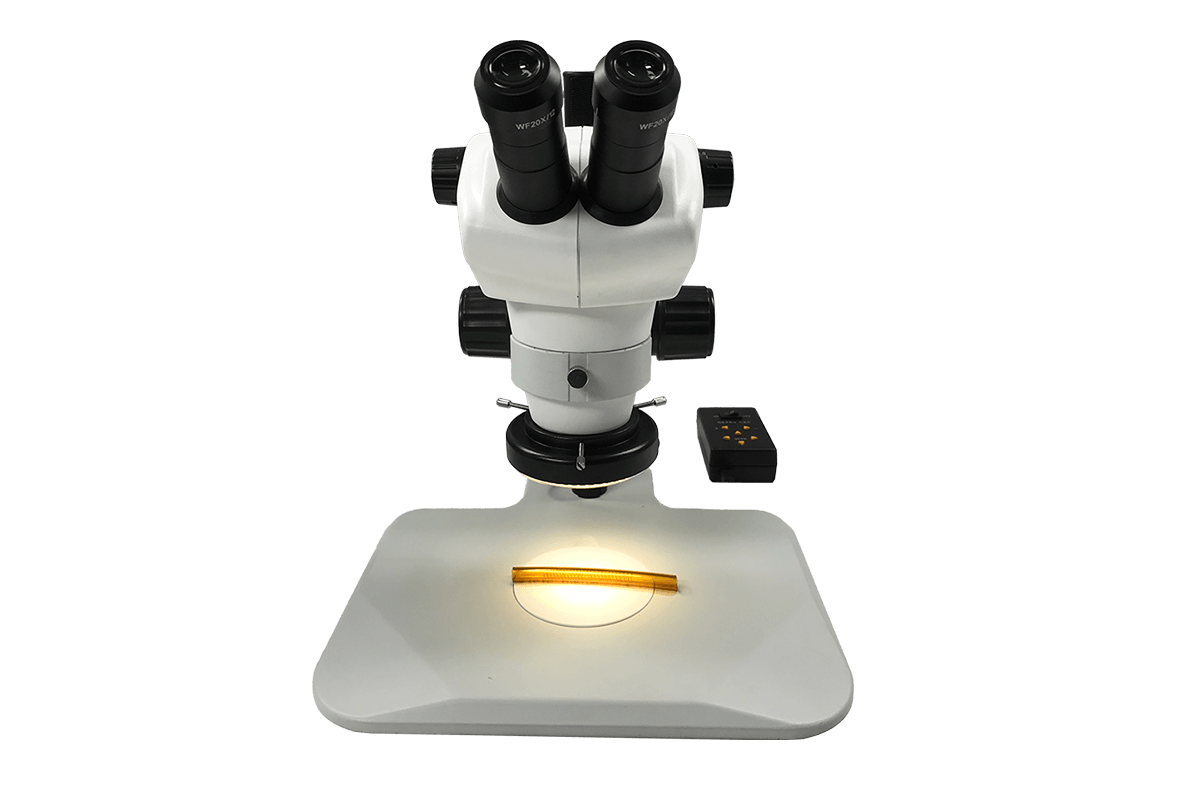 mmbt-unit-5-track-stand-microscope-20x-eye