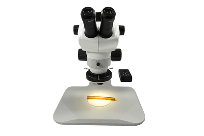 mmbt-unit-5-track-stand-microscope-20x-eye