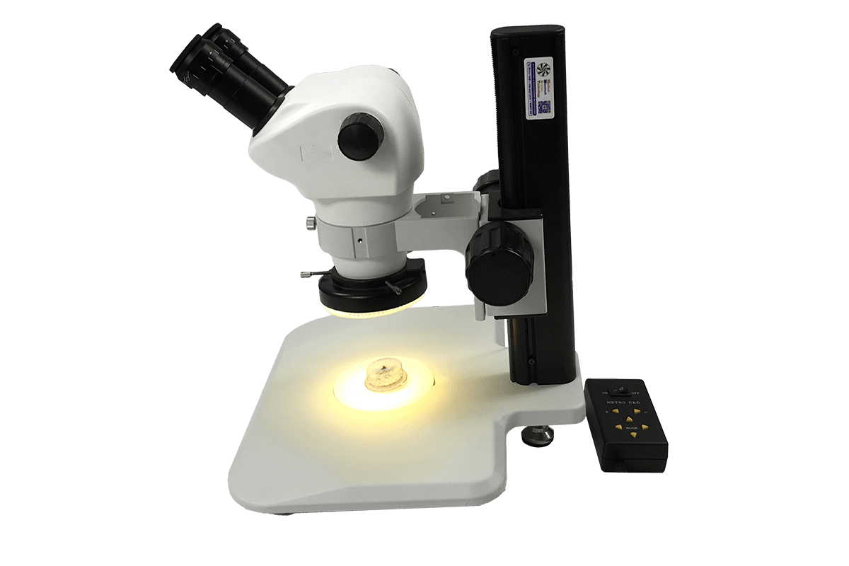 mmbt-unit-5-track-stand-microscope-tilt-stand-side-view-10x-eye