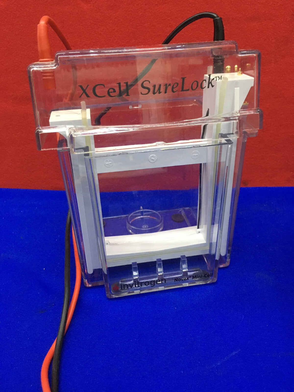 INVITROGEN LIFE TECHNOLOGIES POWEREASE 500 SN 286000720 100-120 V CA 50/60 Hz 1,2 A