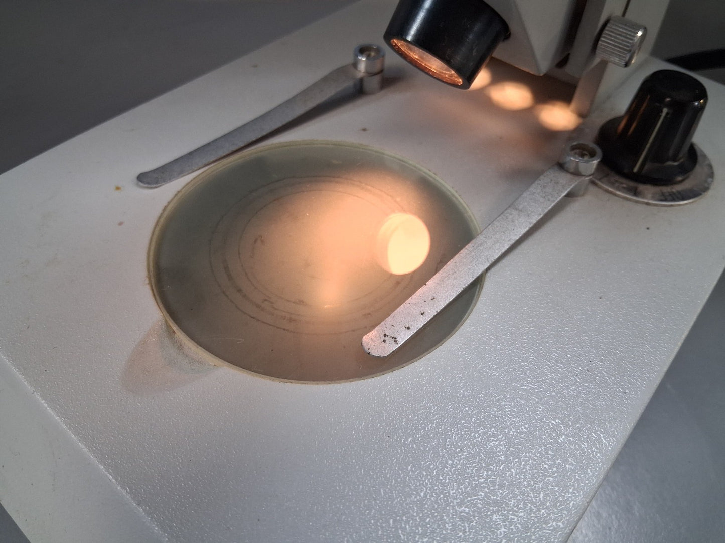 20X -40X STEREO MICROSCOPE WF10X DUAL TOP AND BOTTOM LIGHT