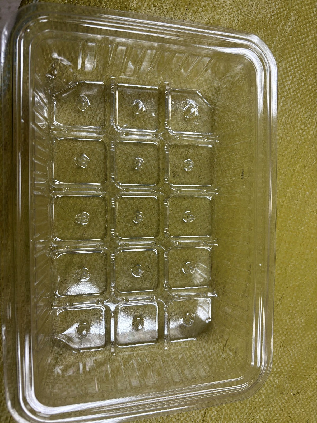 Seed Starting tray clear plastic  10" x 7" x 2" deep Green House 100ea