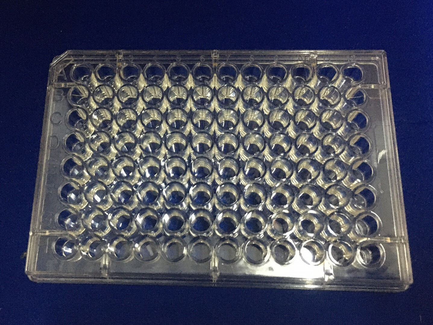 PLAQUES 96 PUITS THERMO SCIENTIFIC 15041 REACTI-BIND™ - ENCOCHE D'ANGLE