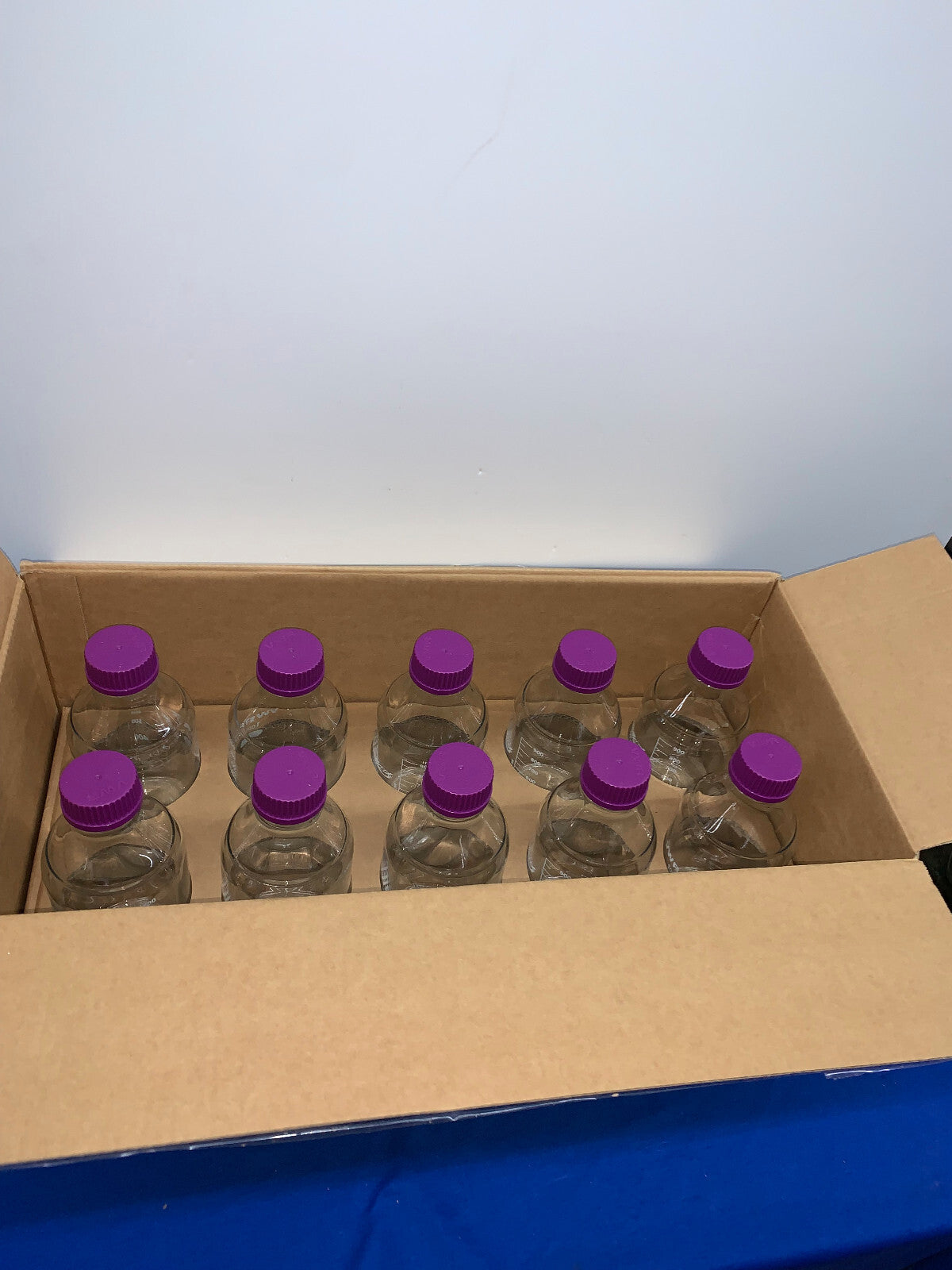 VWR, 21.08, BOTELLAS DE VIDRIO DE 1000 ML, CANTIDAD 10