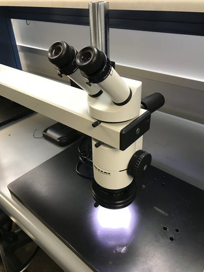 WILD HEERBRUGG WILD MB MICROSCOPIO PER L'APPRENDIMENTO A DOPPIA VISIONE / MICROSCOPIO PER L'INSEGNAMENTO 