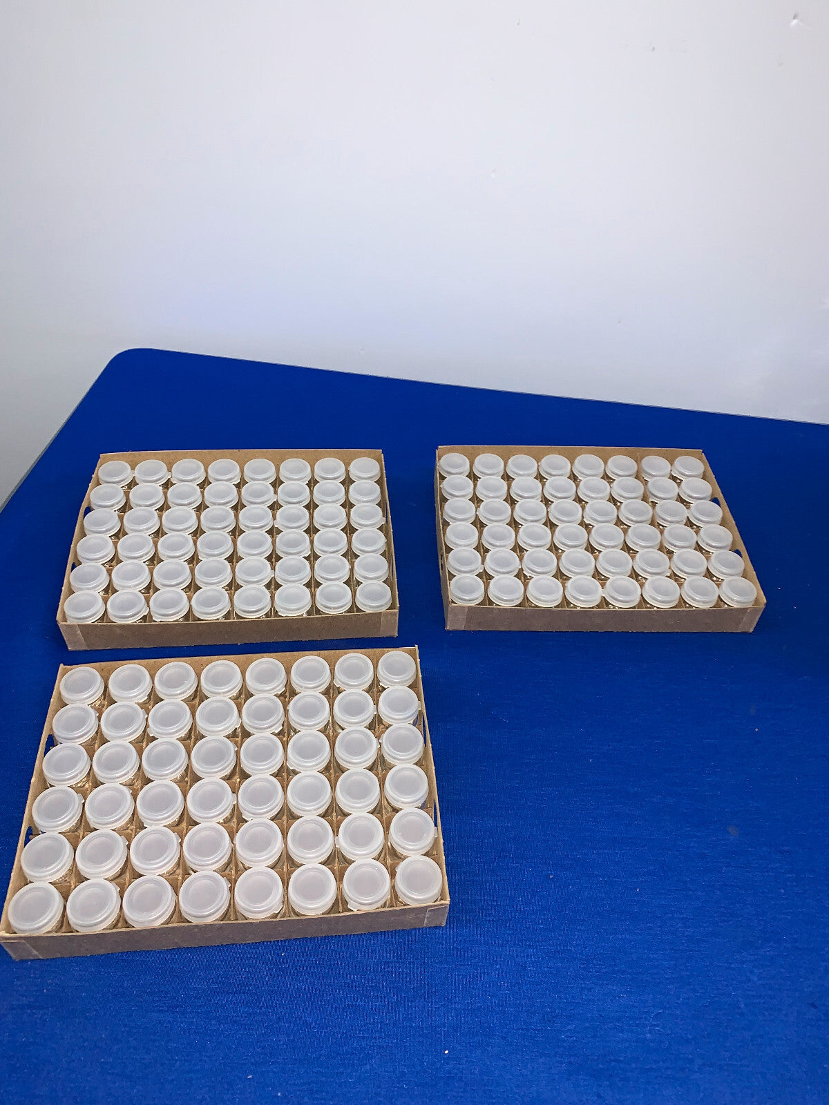 WHEATON 144 STUKS 4 ML MONSTERFLESJE DOORZICHTIG MET PLASTIC KLIKDOP, 1 PARTIJ VAN 2 DOZEN