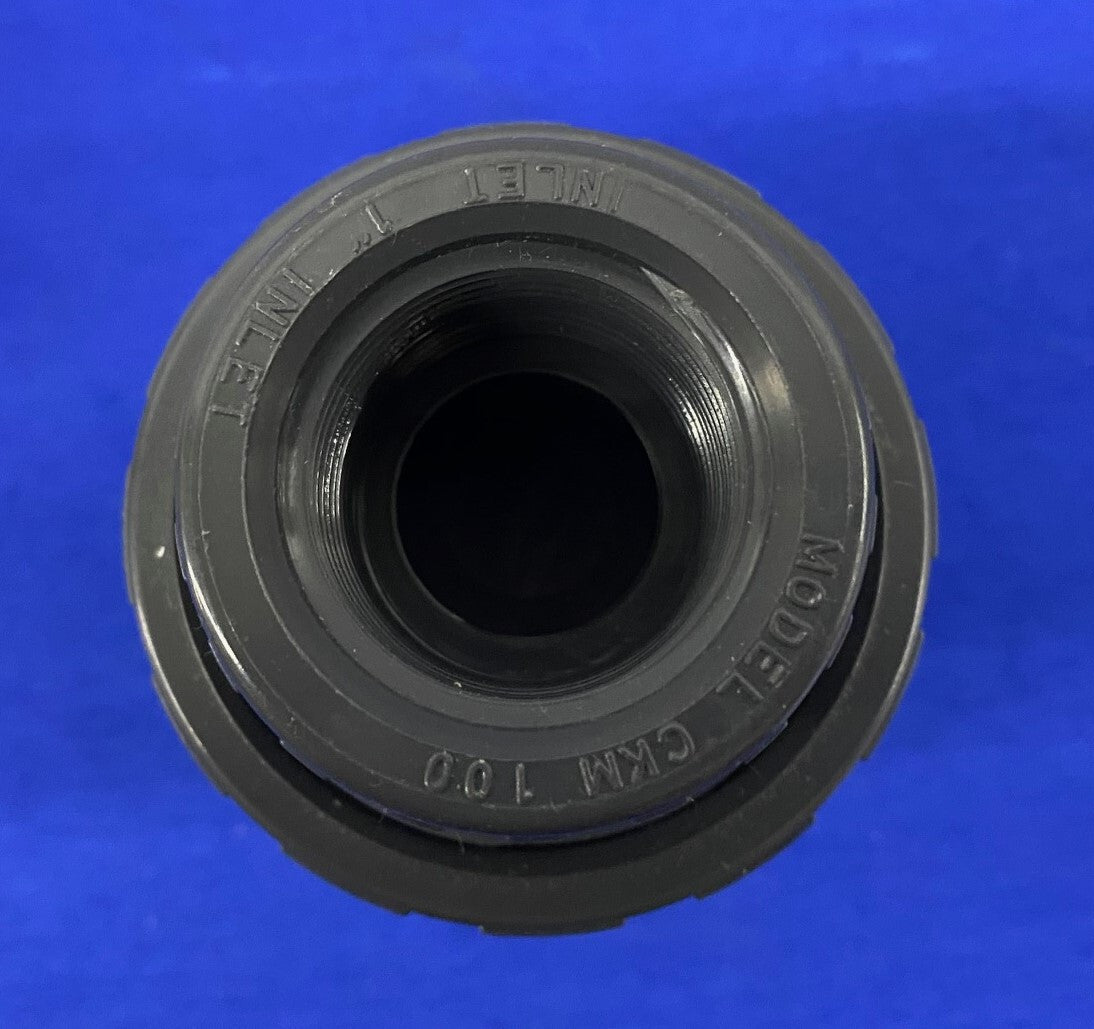 PLAST-O-MATIC CKM100EP-PV / CKM 100 1" CHECK VALVE