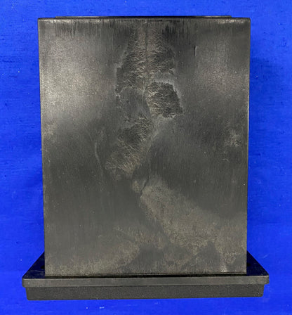 MINARIK DIGI-LOK CONTROL GEEN LABEL OP HET ITEM WIJ DENKEN DAT DIT EEN DLC100 MODEL IS