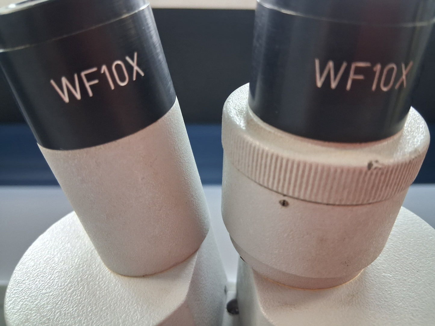 20X -40X STEREO MICROSCOPE WF10X DUAL TOP AND BOTTOM LIGHT