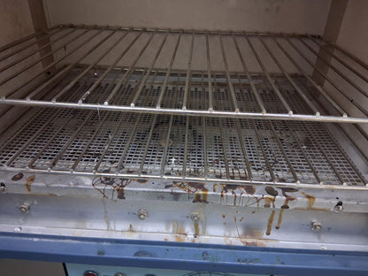BLUE M SW-17TA SINGLE WALL GRAVITY CONVECTION LABORATORY OVEN