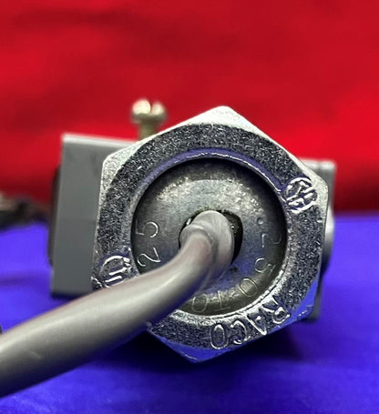 Micro Switch BZ-2RL25551-A2 Snap Switch met behuizing