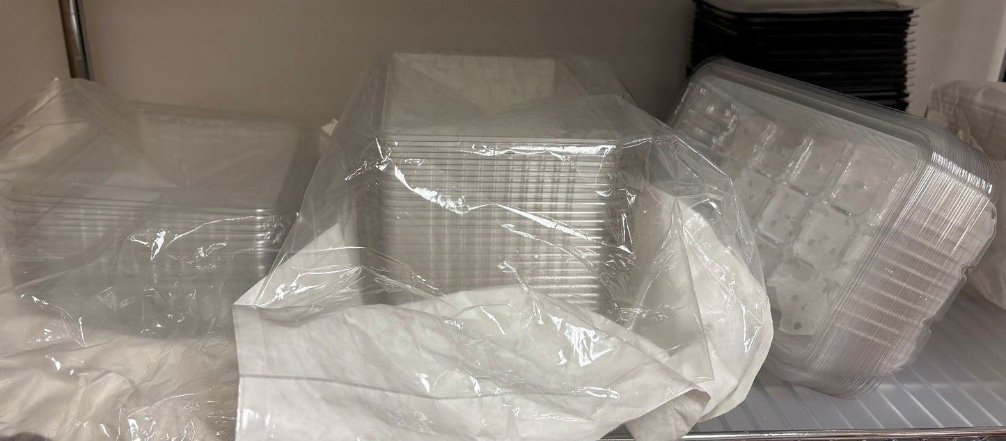 Seed Starting tray clear plastic  10" x 7" x 2" deep Green House 100ea