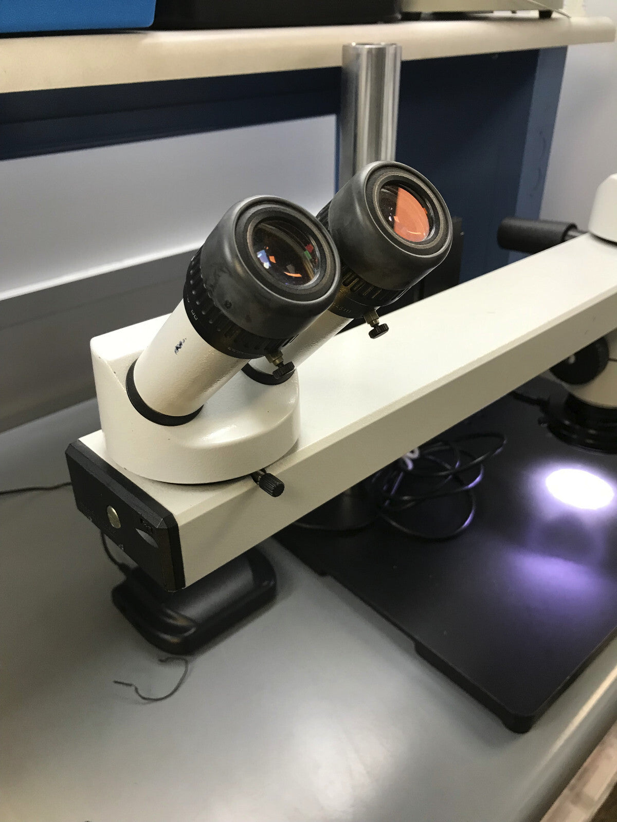 WILD HEERBRUGG  WILD MB DUAL VIEWING TRAINING MICROSCOPE / TEACHING MICROSCOPE