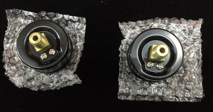 QTY 2 - WINTERS PEM1420 CALIBRO 1,5" QUADRANTE 1/8" NPT POSTERIORE 0-100 PSI/KPA