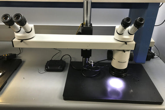 MICROSCOPIO DE ENTRENAMIENTO DE VISIÓN DUAL WILD HEERBRUGG WILD MB / MICROSCOPIO DE ENSEÑANZA