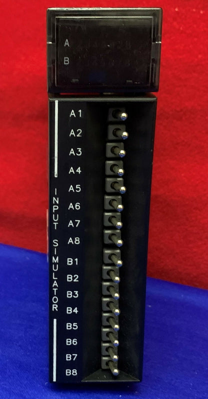 GE FANUC Eingangssimulatormodul IC693ACC300C