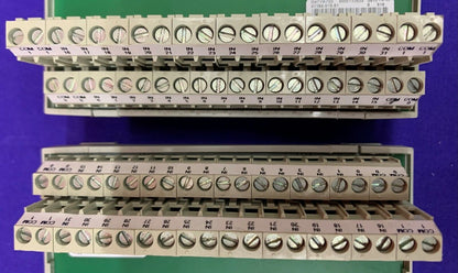 Lot de 2 modules d'interface de terminal Allen Bradley 1492-IFM40F 0-132 V CA/CC 